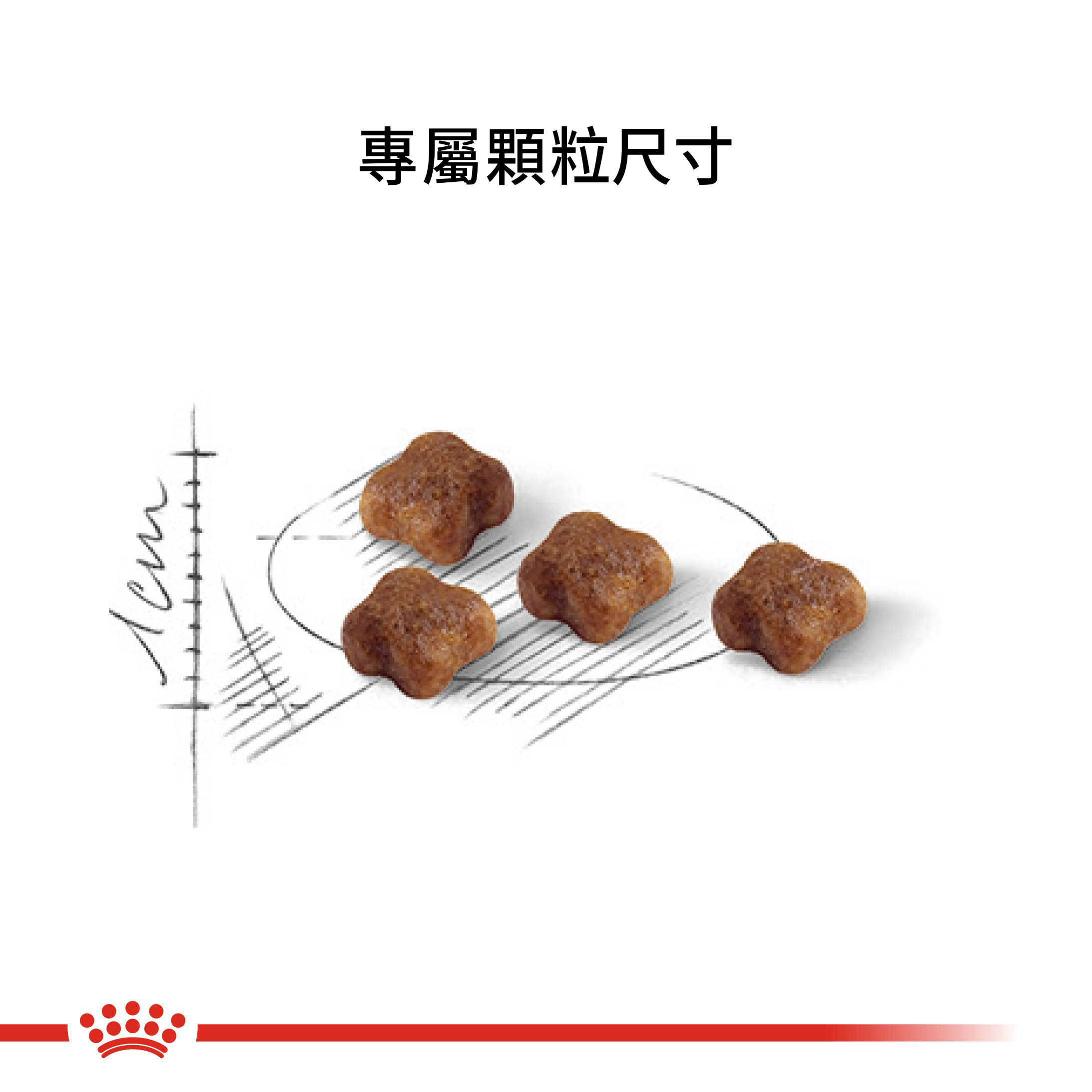 【拉拉寵物小舖】法國皇家 貓飼料 BC34 離乳貓與母貓專用乾糧 2公斤, , large