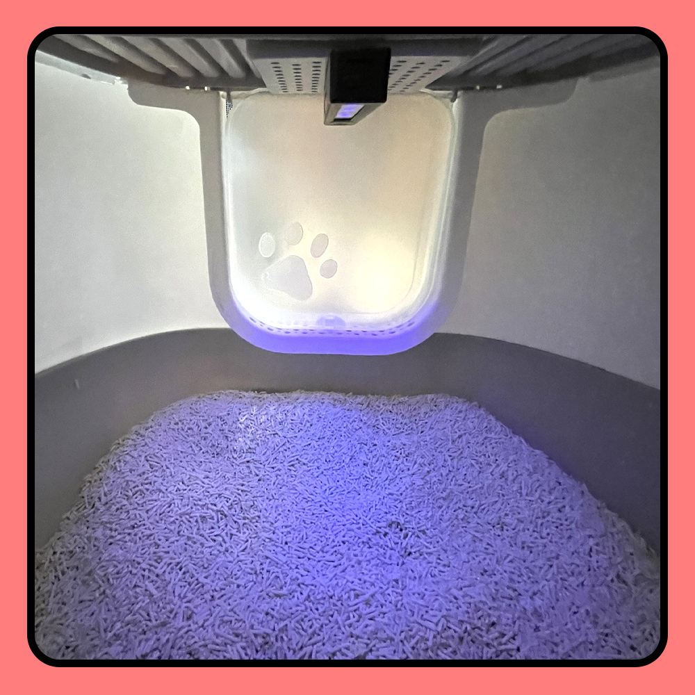 Everlight億光 紫外線 UVC LED抑菌機(白色), , large