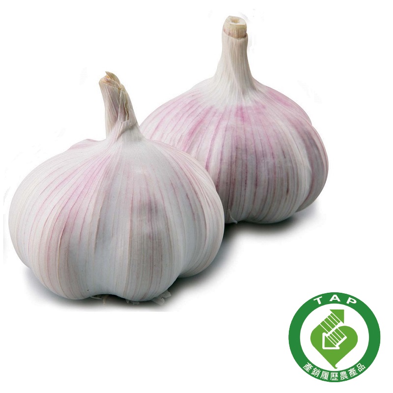 TAP garlic, , large