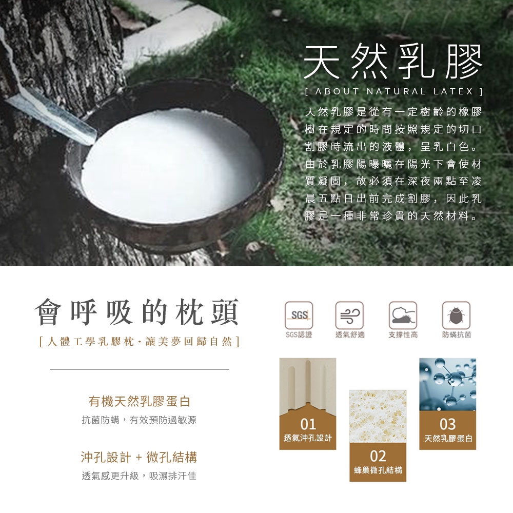 DUYAN竹漾 護頸型人體工學乳膠枕, , large