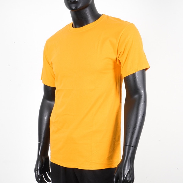 T425-24C, , large