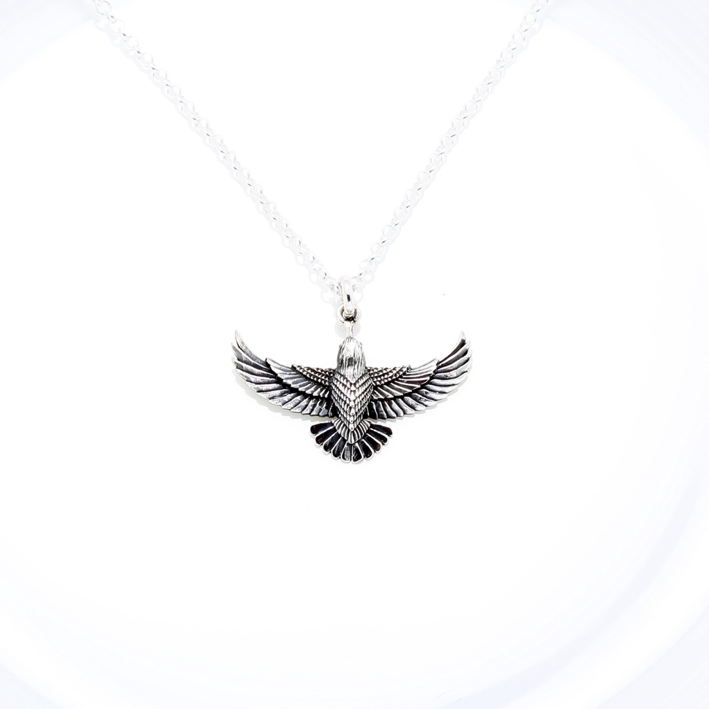 【Angel & Me】老鷹 展翅 翱翔 飛鳥 s925 純銀項鍊 生日禮物, , large