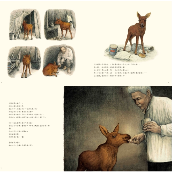 《南門書局》單本繪本館~鄂倫春的熊, , large