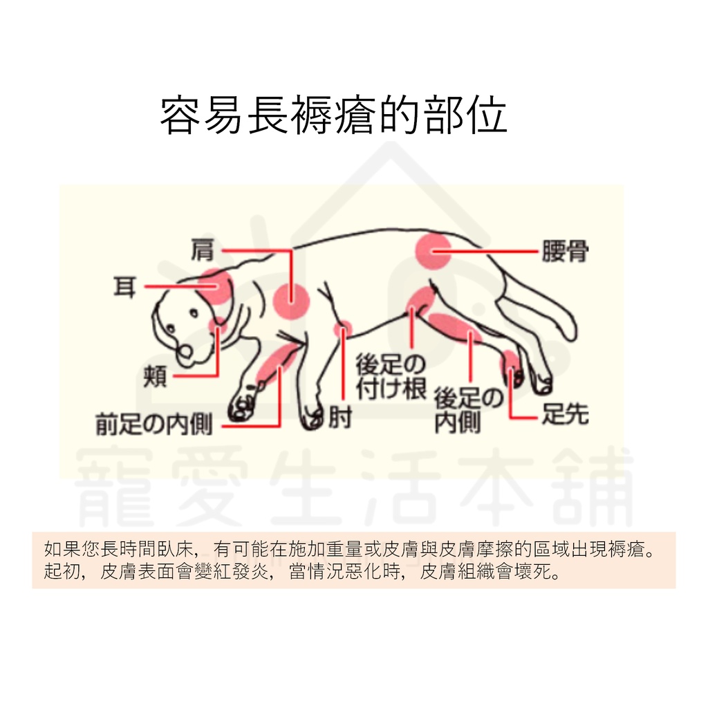 【寵愛生活本舖】PETIO寵物關節輔助支撐帶（大號）四入 派地奧, , large