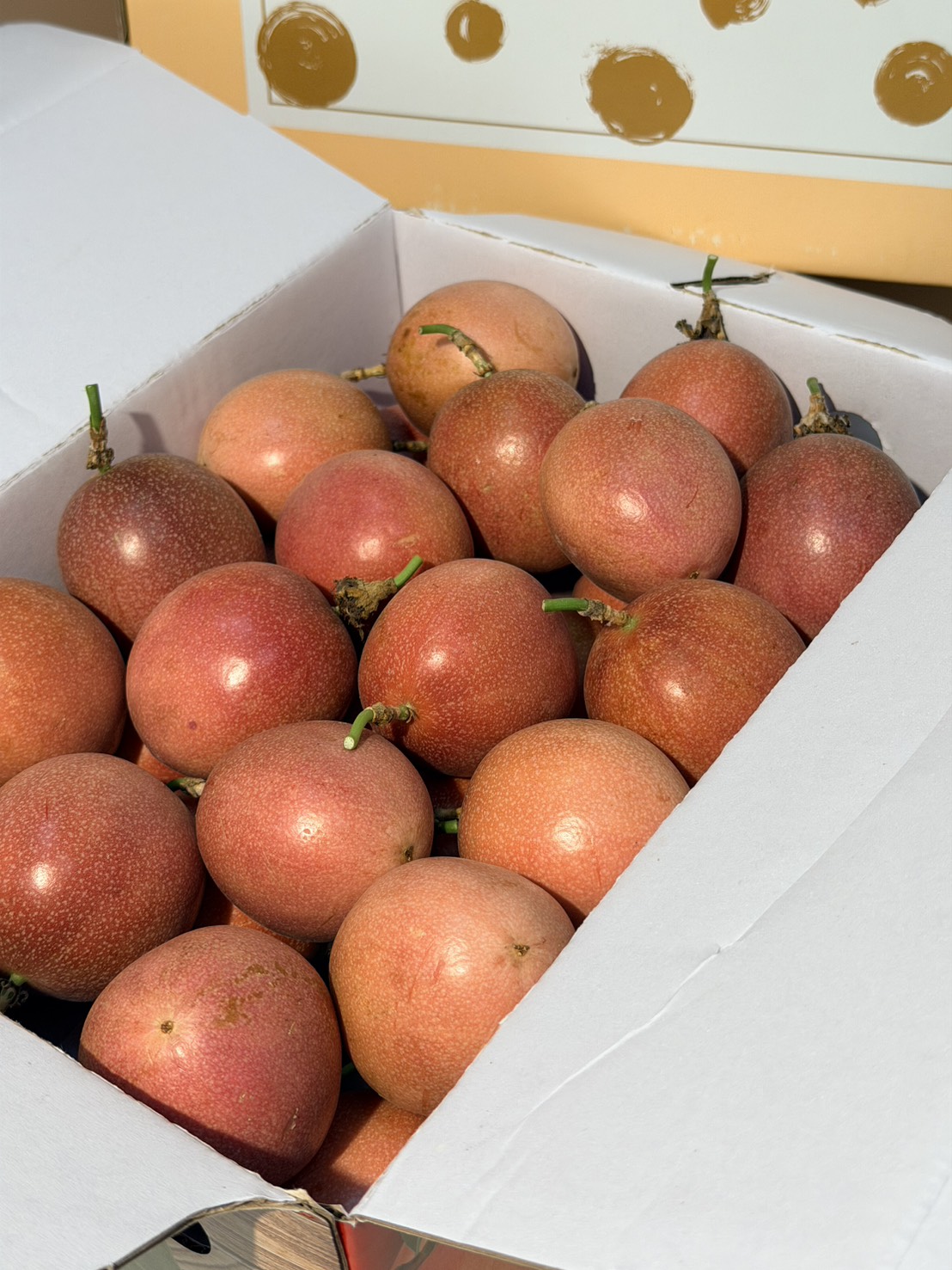 Passion Fruit, , large