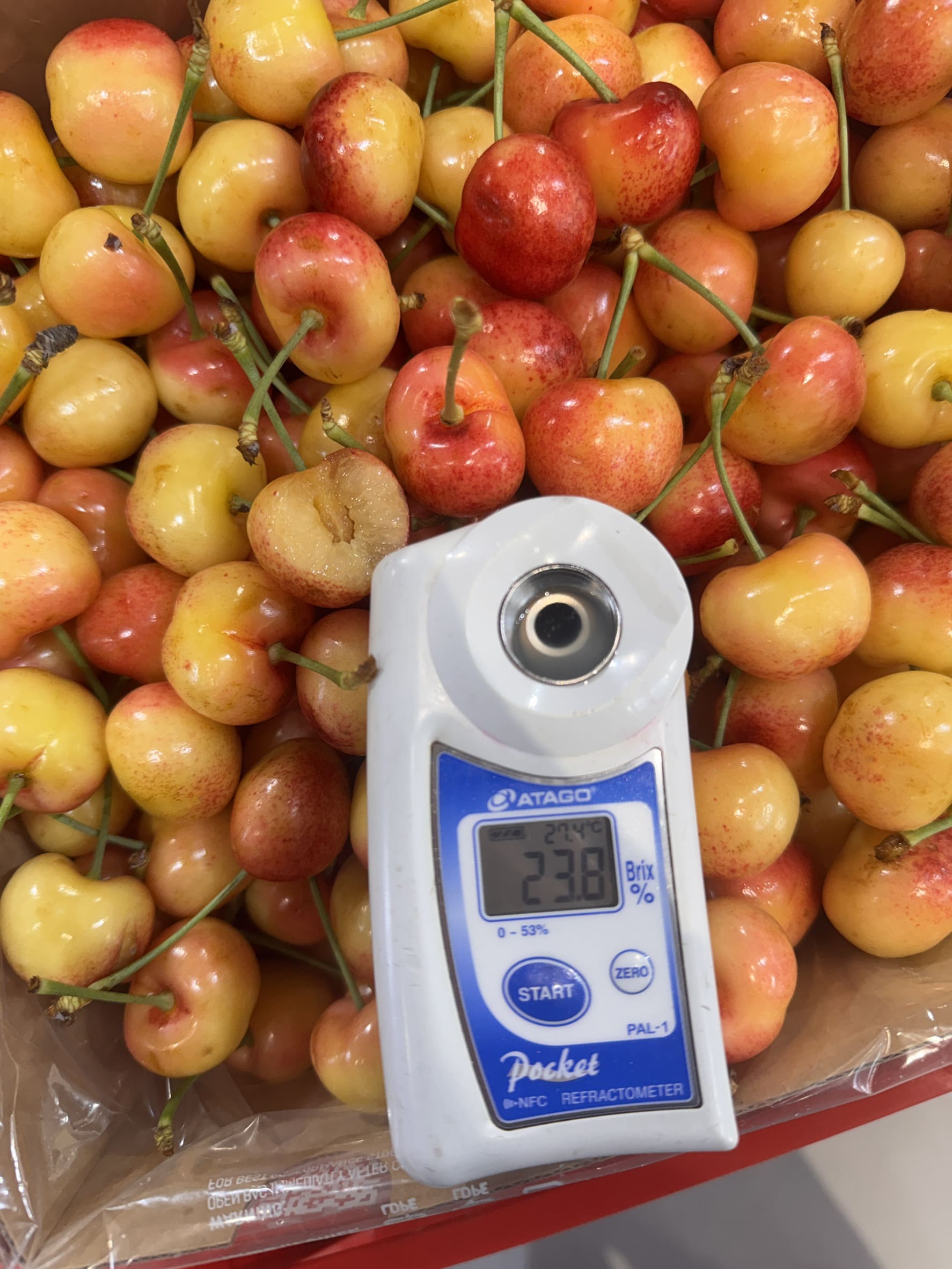 Rainier White Cherry, , large