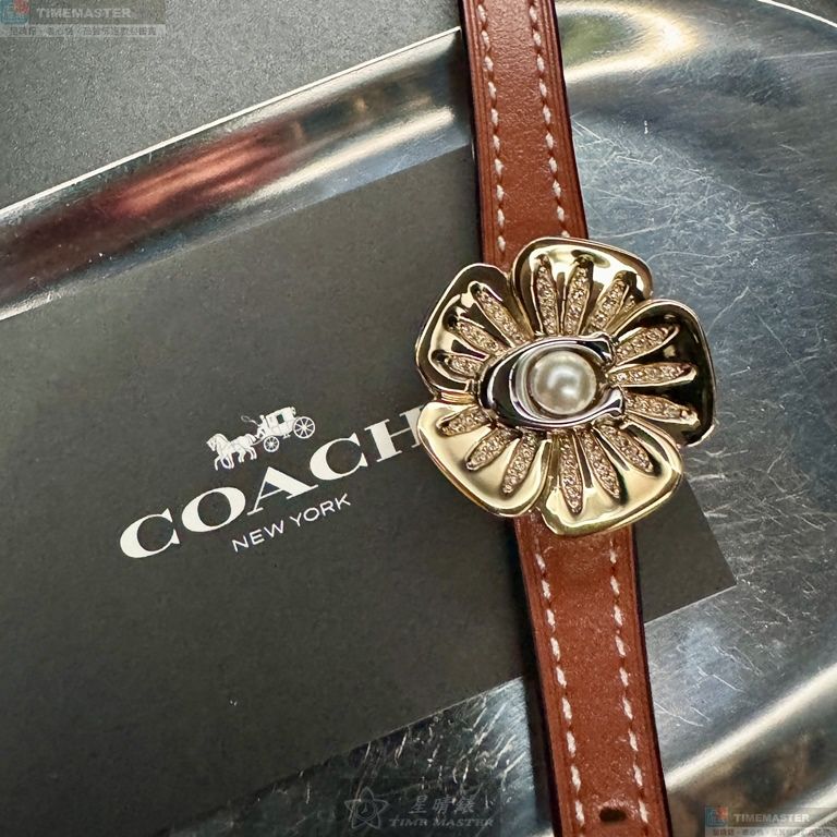 [TIMEMASTER] COACH watch, 28mm, CH00210, , large