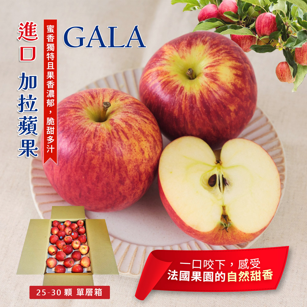 GALA APPLE, , large