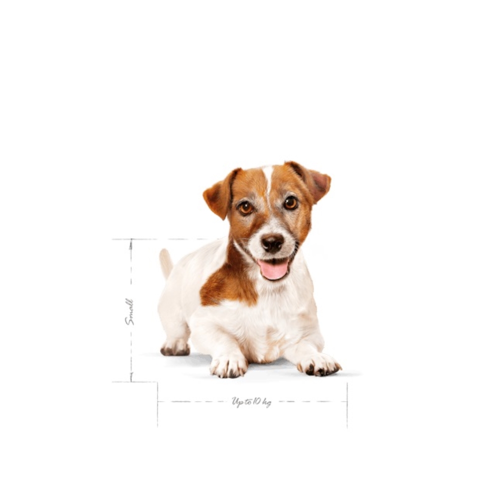 【拉拉寵物小舖】法國皇家 狗飼料 MNA+12 小型熟齡犬12+歲以上專用乾糧 1.5公斤, , large