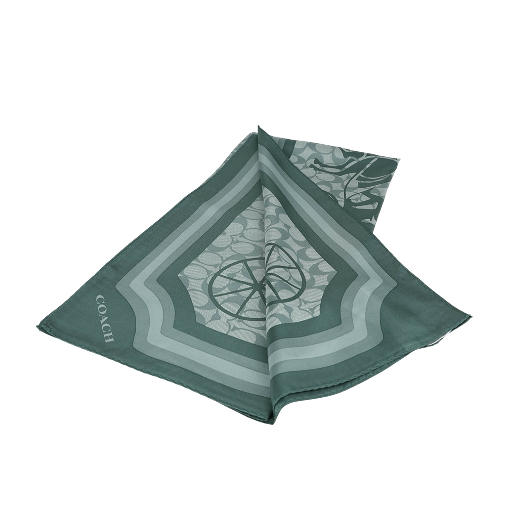Kerchief, , large