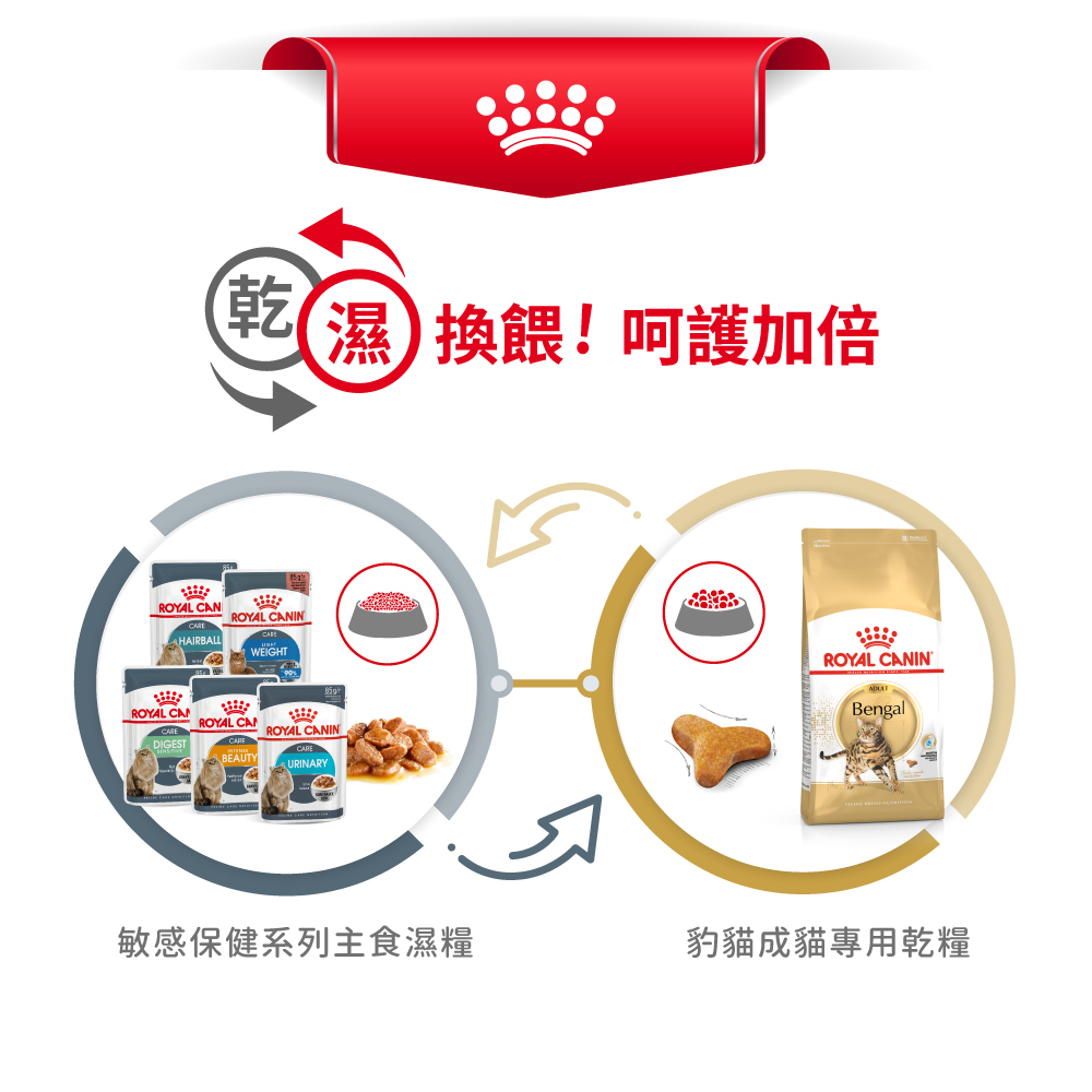 【Royal Canin法國皇家】豹貓成貓專用乾糧BG40, , large