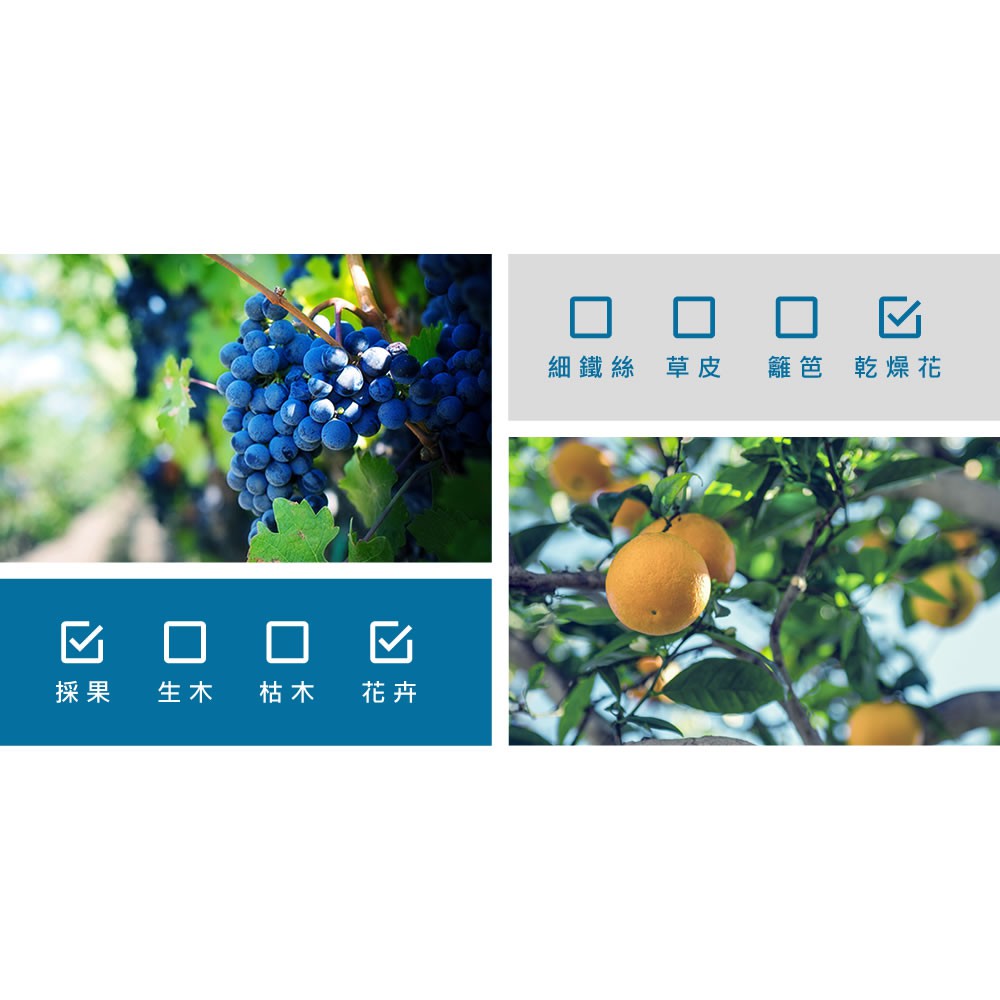 【HOKAS】S518長曲刃芽切剪  (園藝剪 摘果剪 盆栽剪刀 花藝剪刀 樹葉剪 剪定鋏 葡萄剪 修剪細枝剪), , large