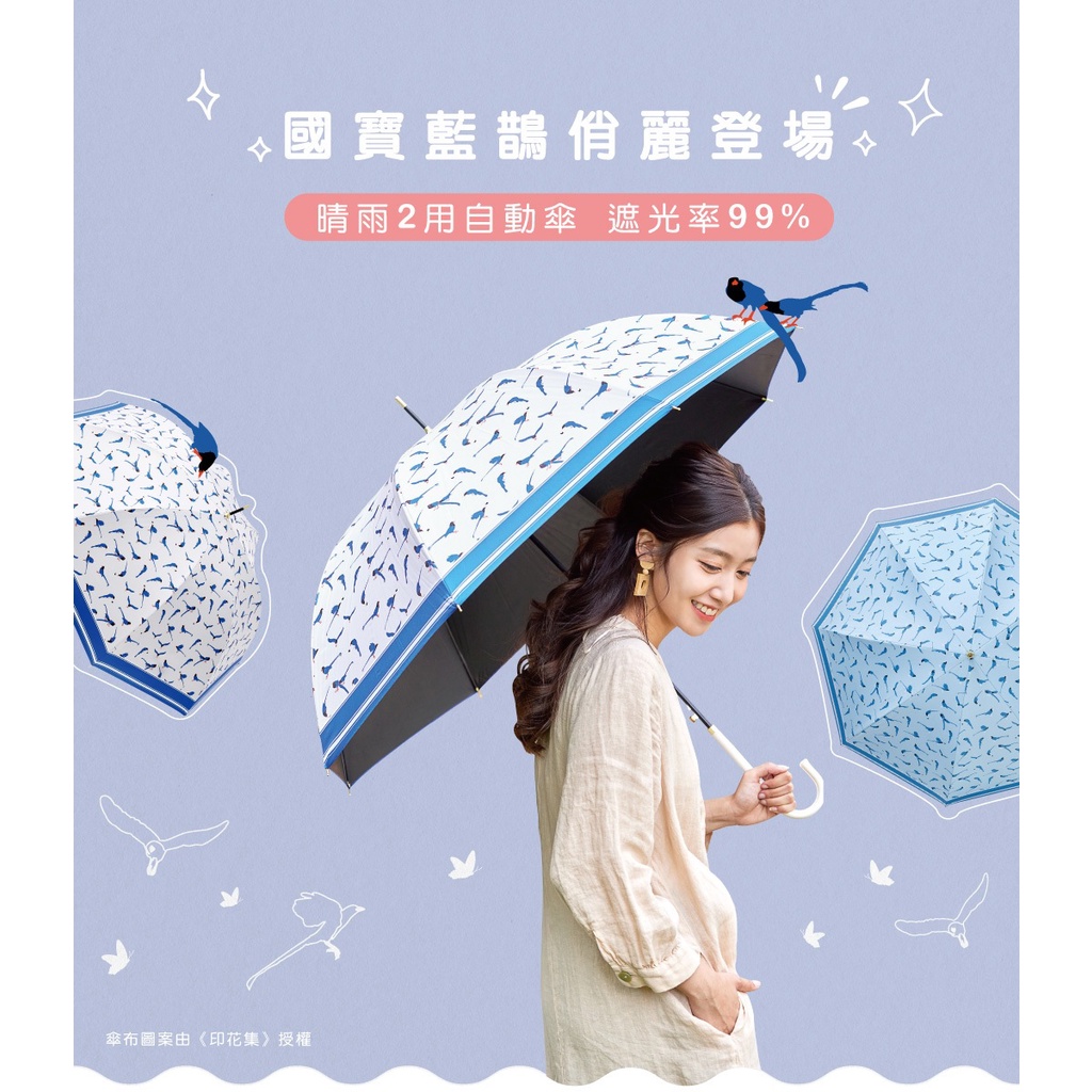 【周周生活】雨傘 現貨 自動傘 遮陽傘 陽傘 台灣藍鵲 直傘 晴雨傘 抗uv 傘 輕量雨傘 日系雨傘 快速出貨, , large