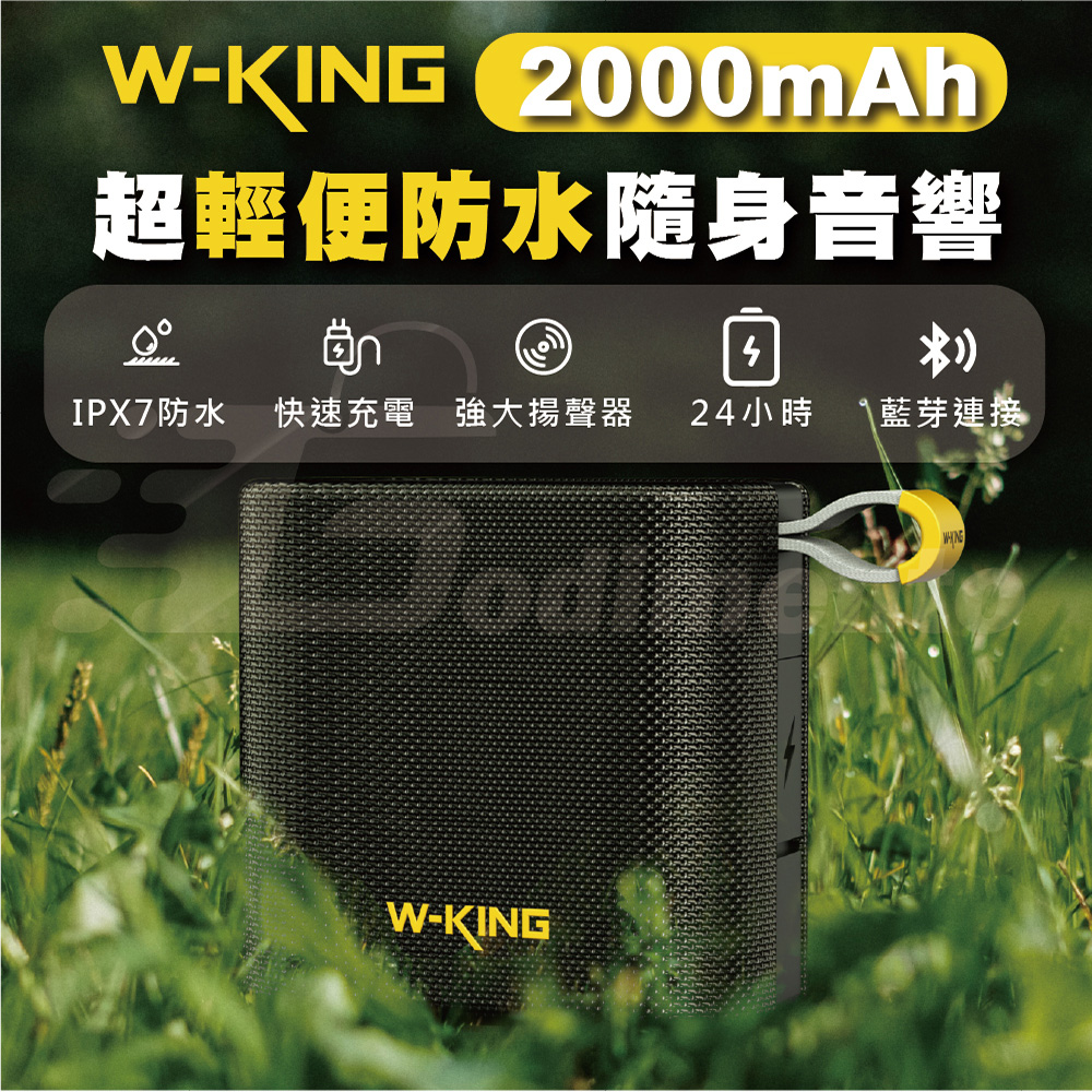 W-KING D2, , large