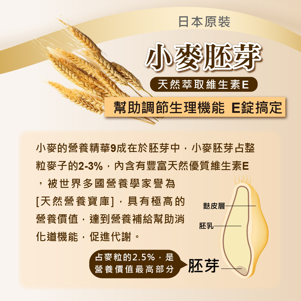 [群星生醫] 日本原裝 元氣全效果B群 EX Plus, , large