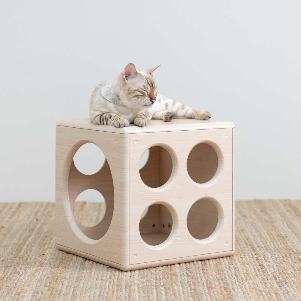 【paipaipets】Wooden Cube - Style S