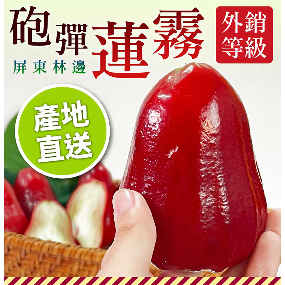Cannonball wax apples in Linbian, Pingtung, , large