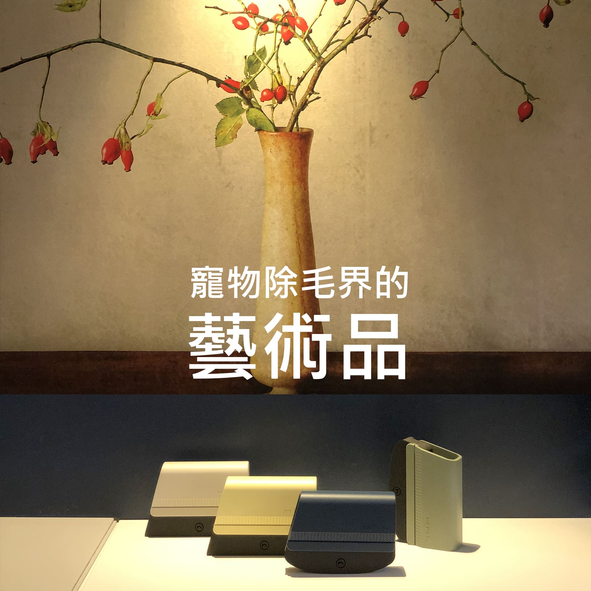 [HhL] 毛毛皂-寵物布面除毛橡皮擦 (單入組直面版) | 石墨綠, , large
