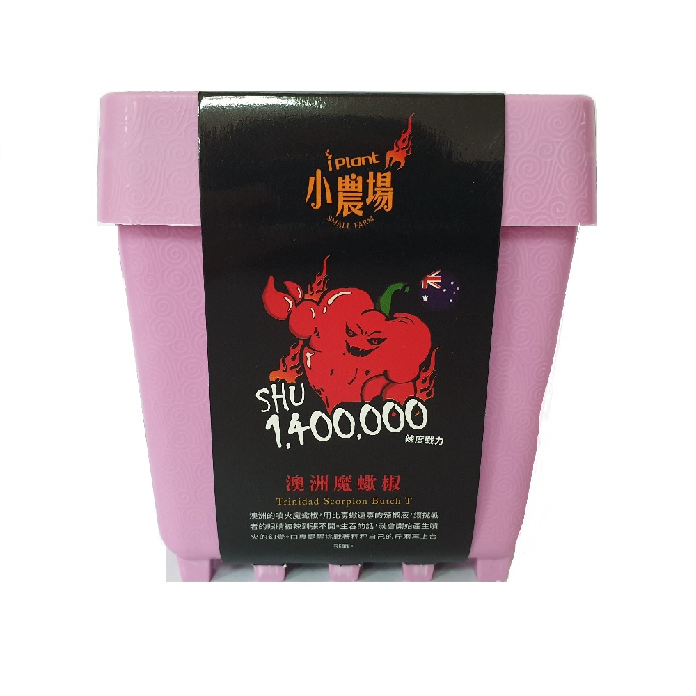 【心安購物】iPlant積木盆栽-澳洲魔蠍椒, , large