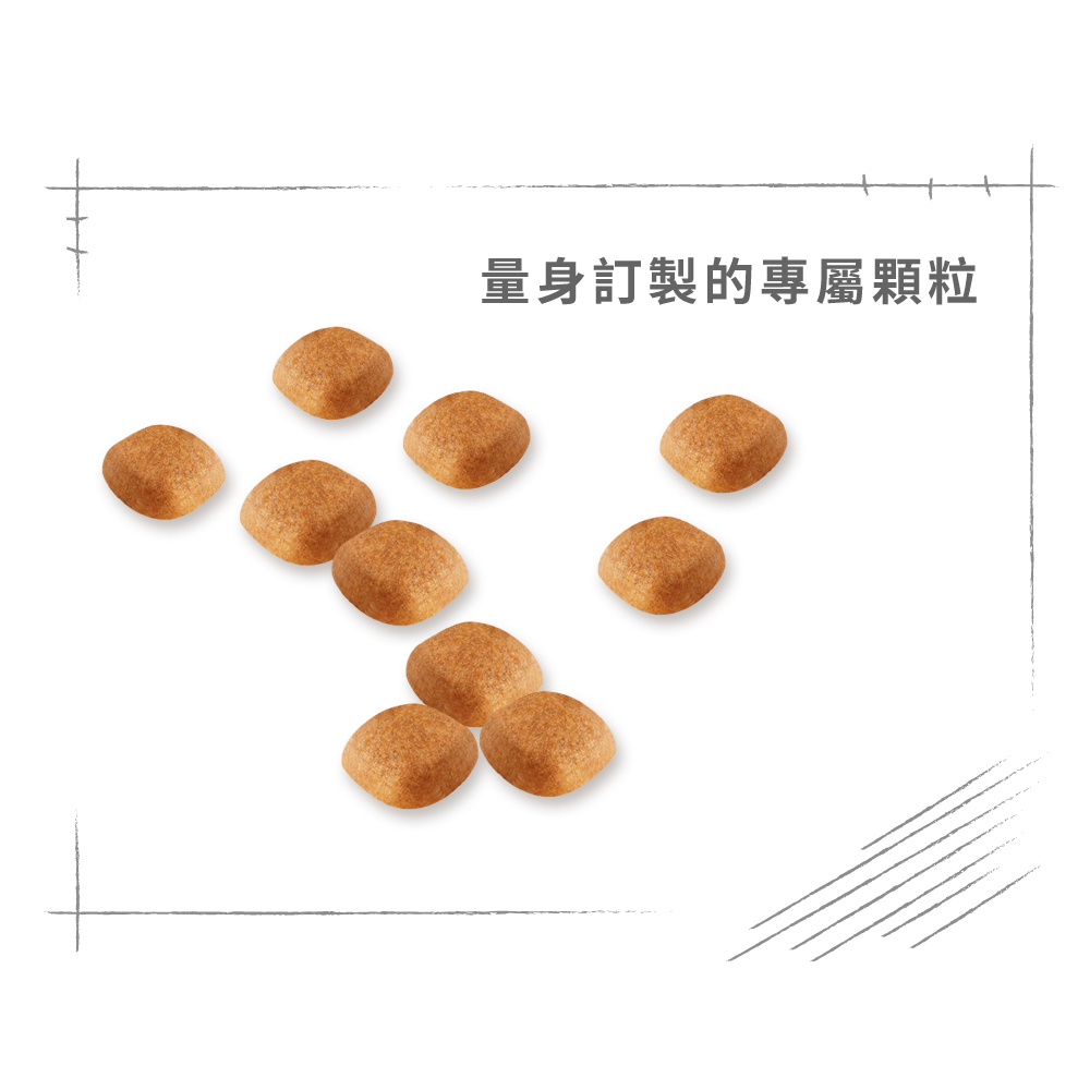 Royal Canin West Highland White Terrier Adult WA , , large