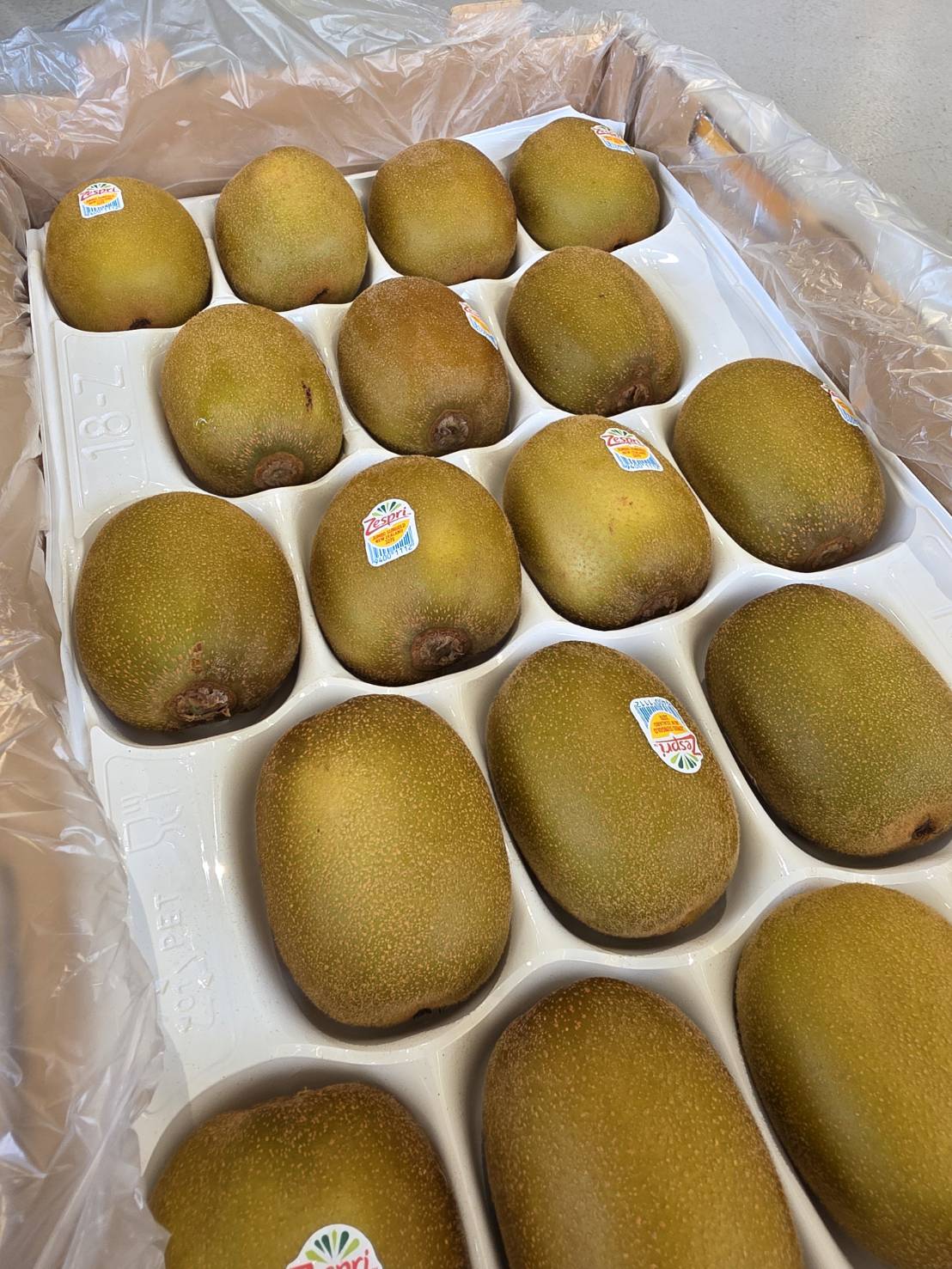 Zespri&trade; SunGold Kiwifruit, , large