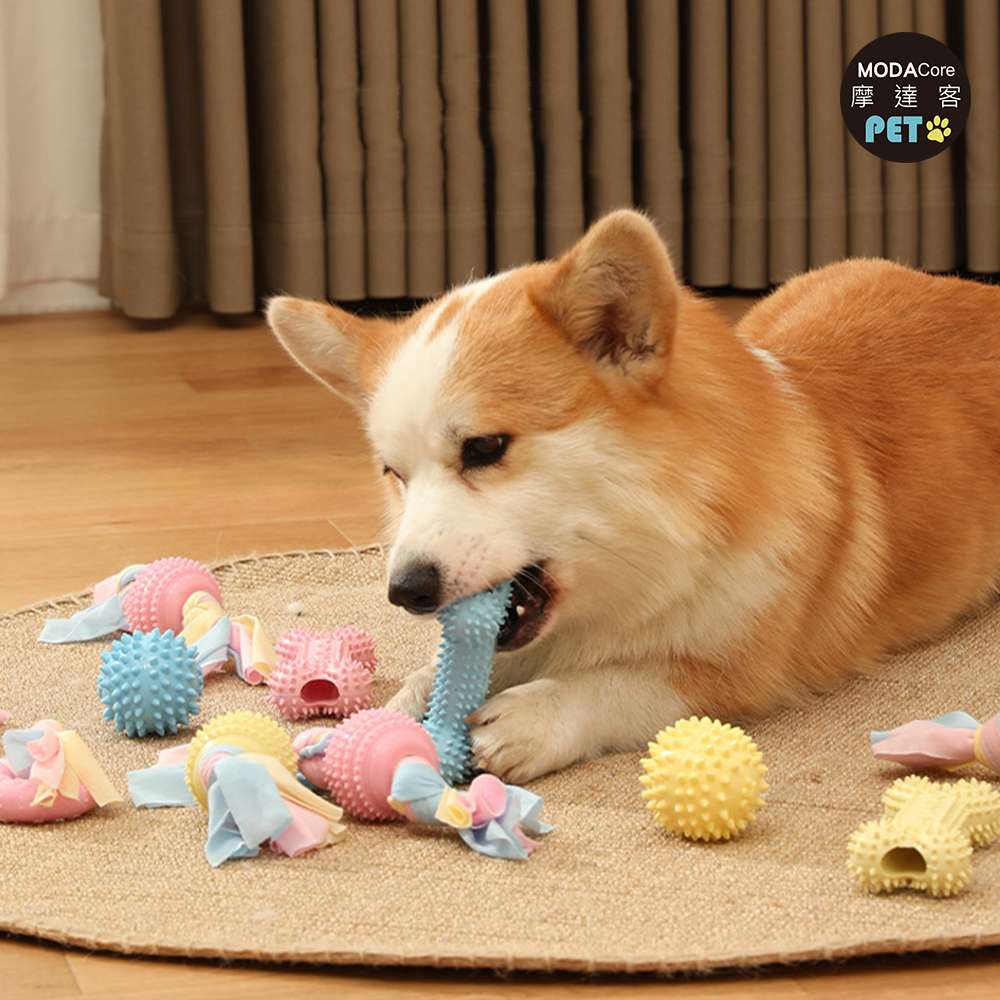 摩達客寵物-狗狗磨牙紓壓咬咬玩具三件A組 解悶趣味潔齒 自嗨耐咬寵物玩具, , large
