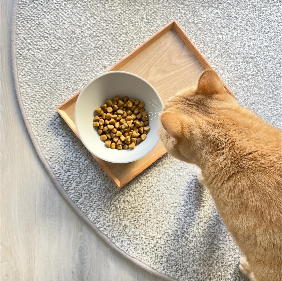 [HhL] MASTER BOWL-Ant-Proof Pet Bowl / Two Bowl (G+G), , large