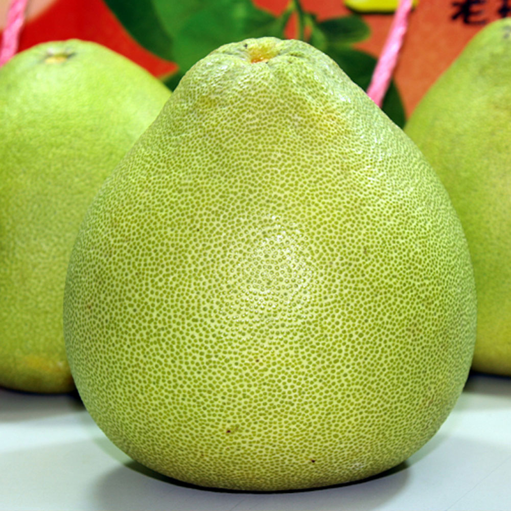 【一等鮮】麻豆文旦禮盒2盒〈9~12粒/10斤/盒〉(免運費), , large