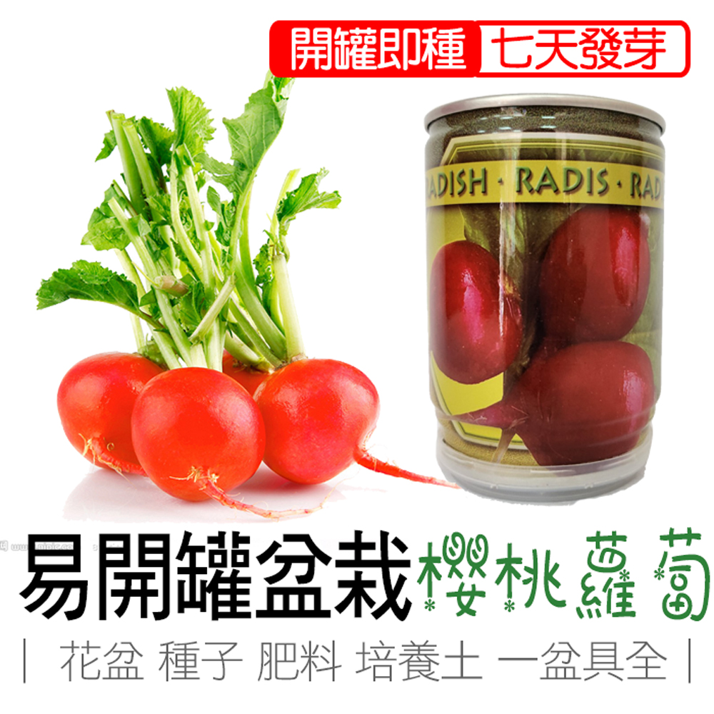 cherry radish, , large