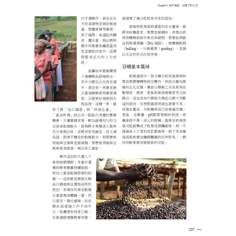 [南門書局]咖啡咖啡一巨冊, , large