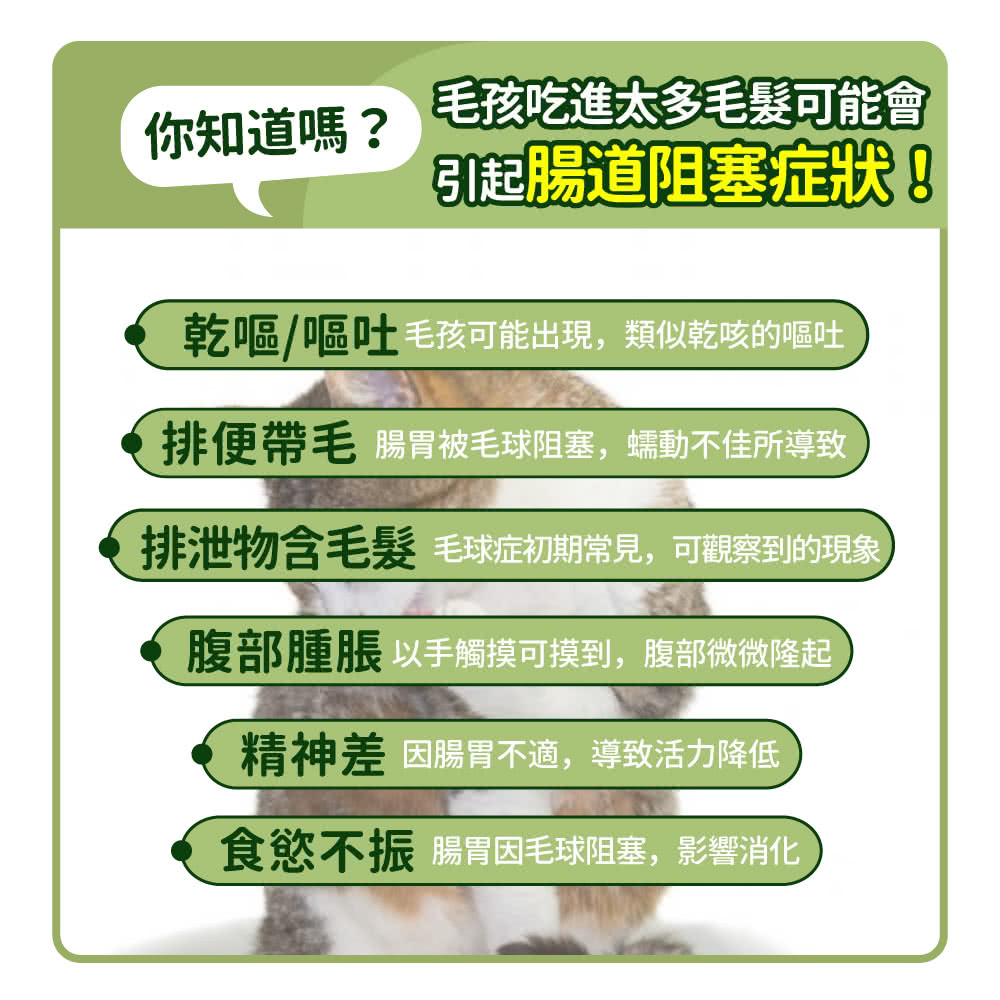 【毛孩時代】天然型態6合1專利化毛粉 貓狗保健食品/排毛粉/寵物保健(2盒/60入), , large