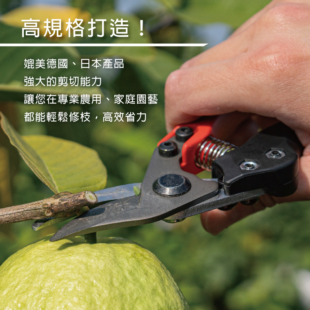 【HOKAS】輕量化專業修枝剪(園藝剪刀 花剪 剪定鋏 樹枝剪 果樹剪 採果剪) S948, , large