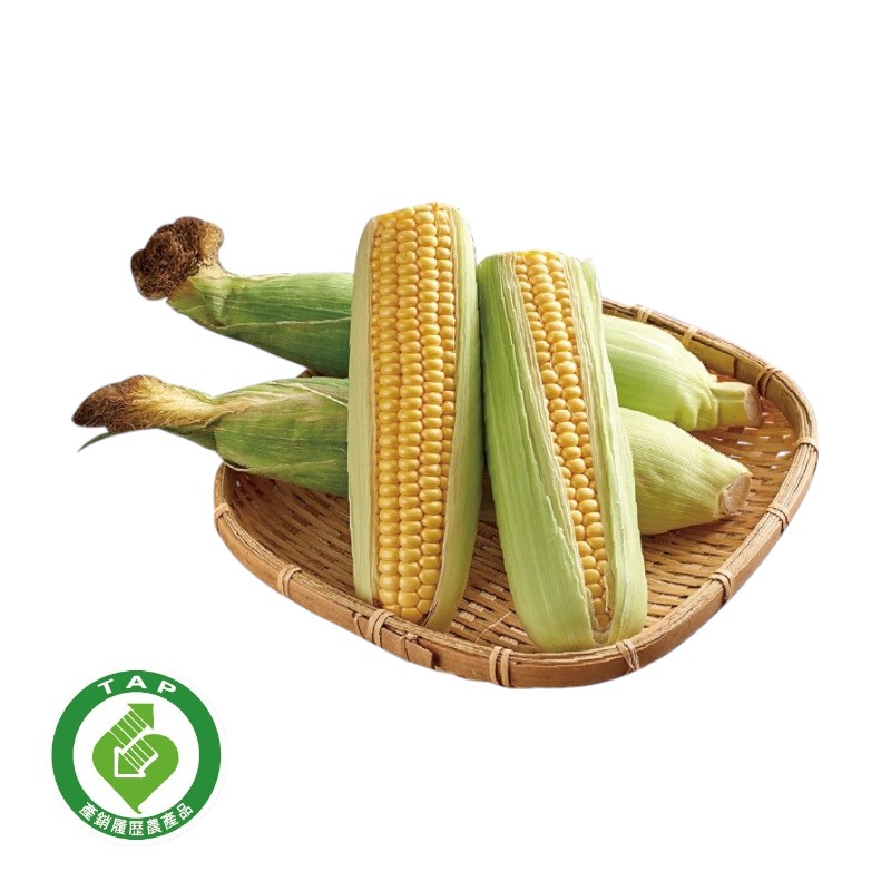 CFPLB corn, , large