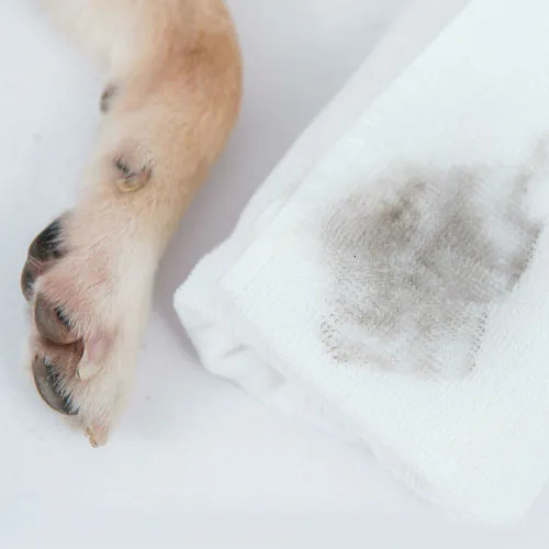 蹦蹦跳  草本潔淨/ &rdquo;狗狗專用&rdquo;快樂腳-清潔慕斯150ml 效期26年6月, , large