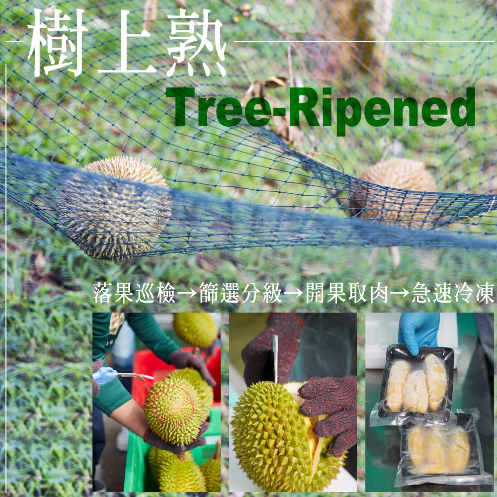 ★真的貓山王!!!★【D.MASKING榴槤大哥】全台唯一馬來西亞官方認證&rarr;勞勿冷凍貓山王榴槤 400g_4盒, , large