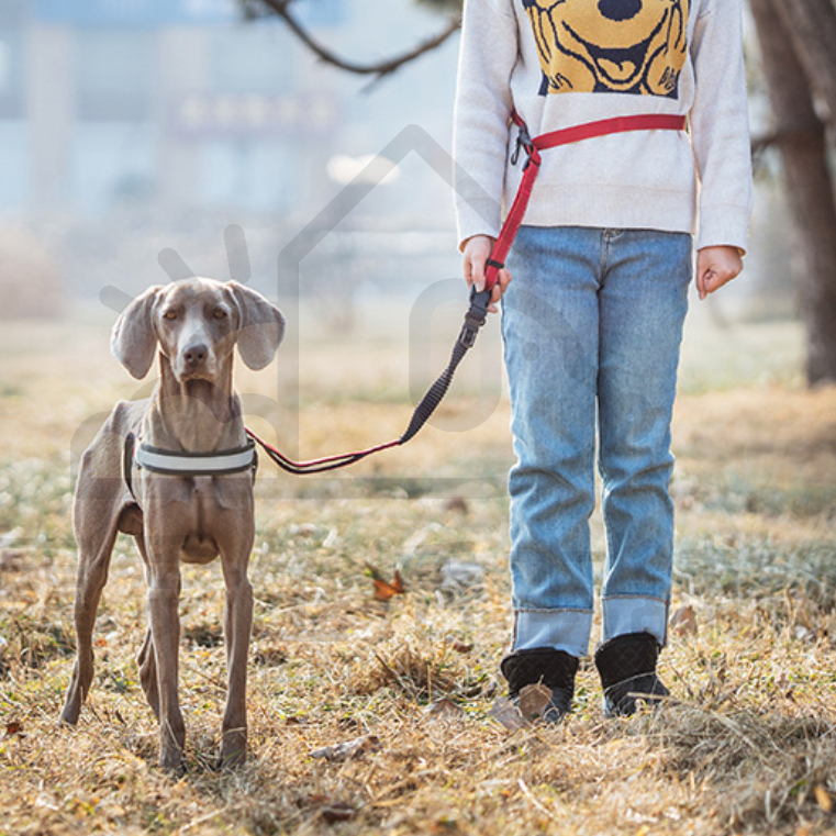 【寵愛生活本舖】六合一彈力緩衝牽繩 斜挎牽繩 防暴衝牽繩 斜背牽繩, , large