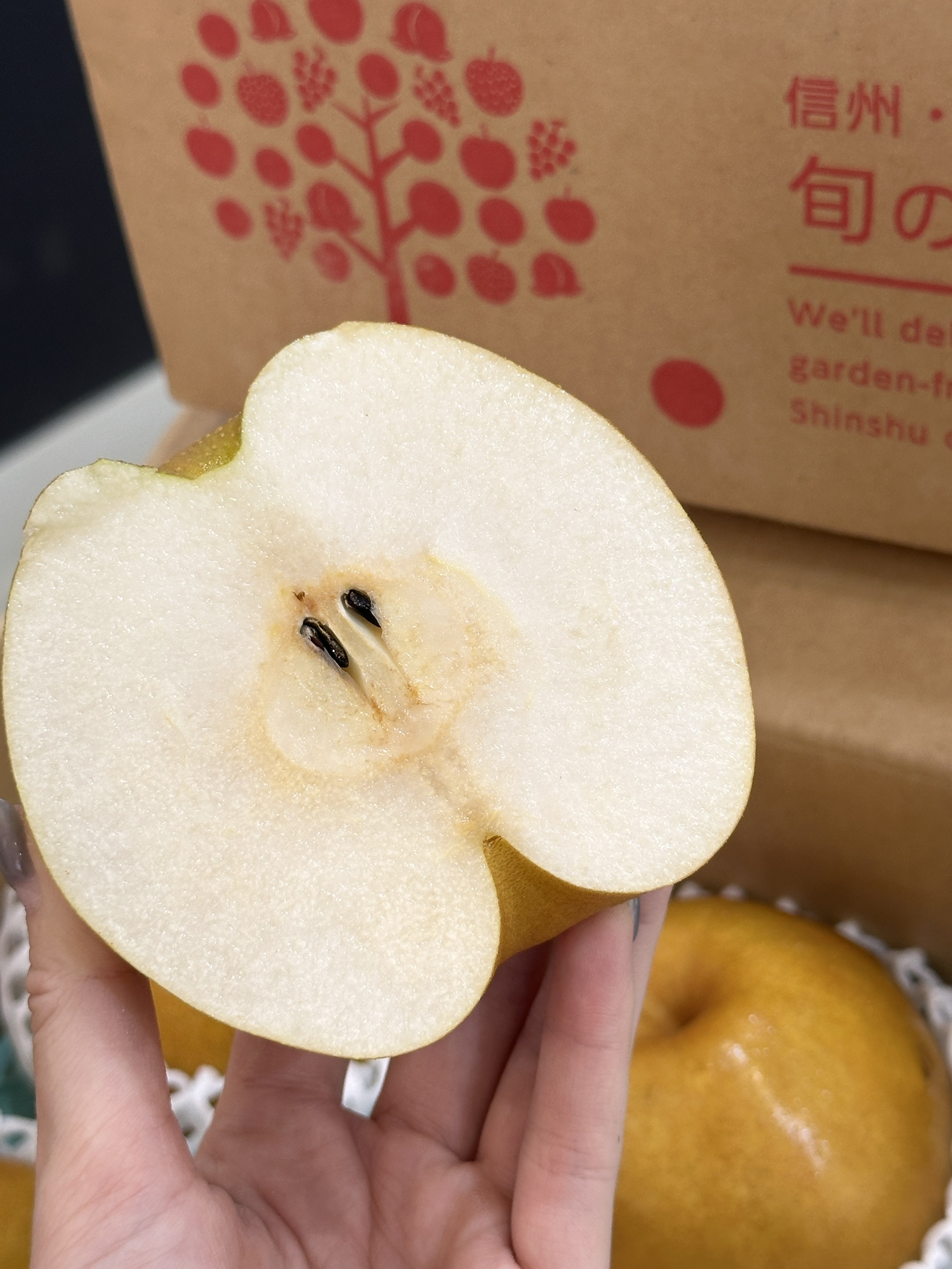 Nagano Pear (Japan), , large