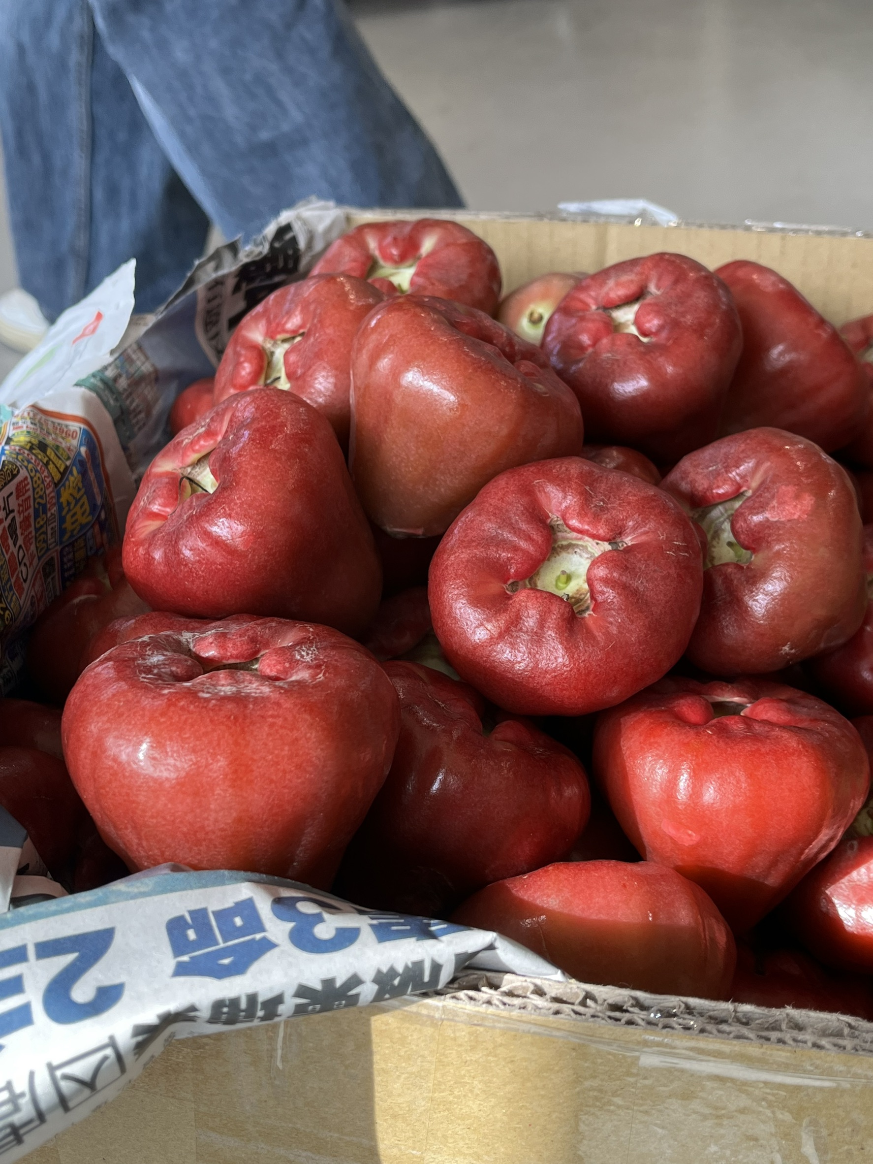 [芯鮮果]台灣嚴選( 黑珍珠蓮霧 ), , large