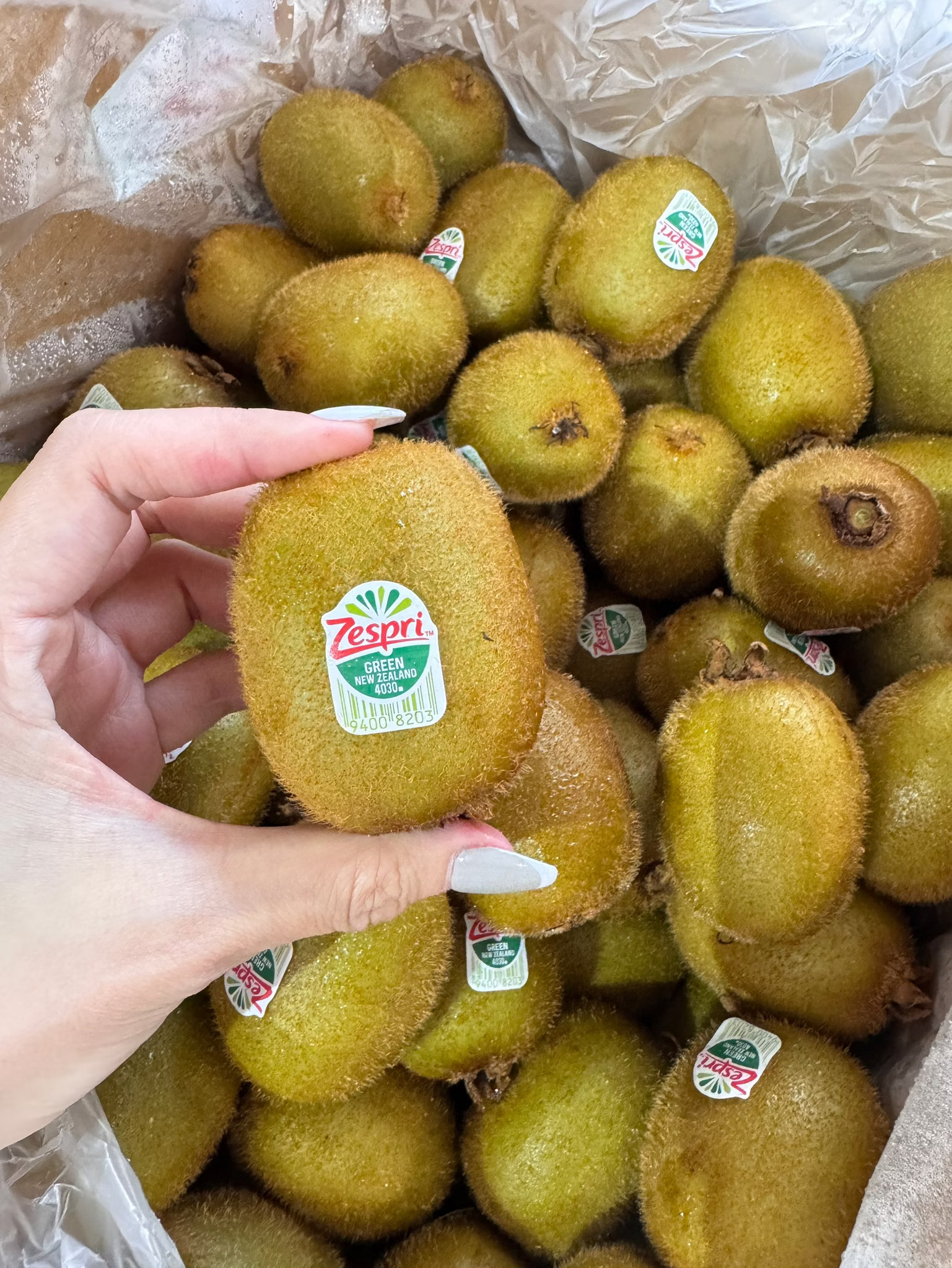 New Zealand Green Kiwifruit, , large