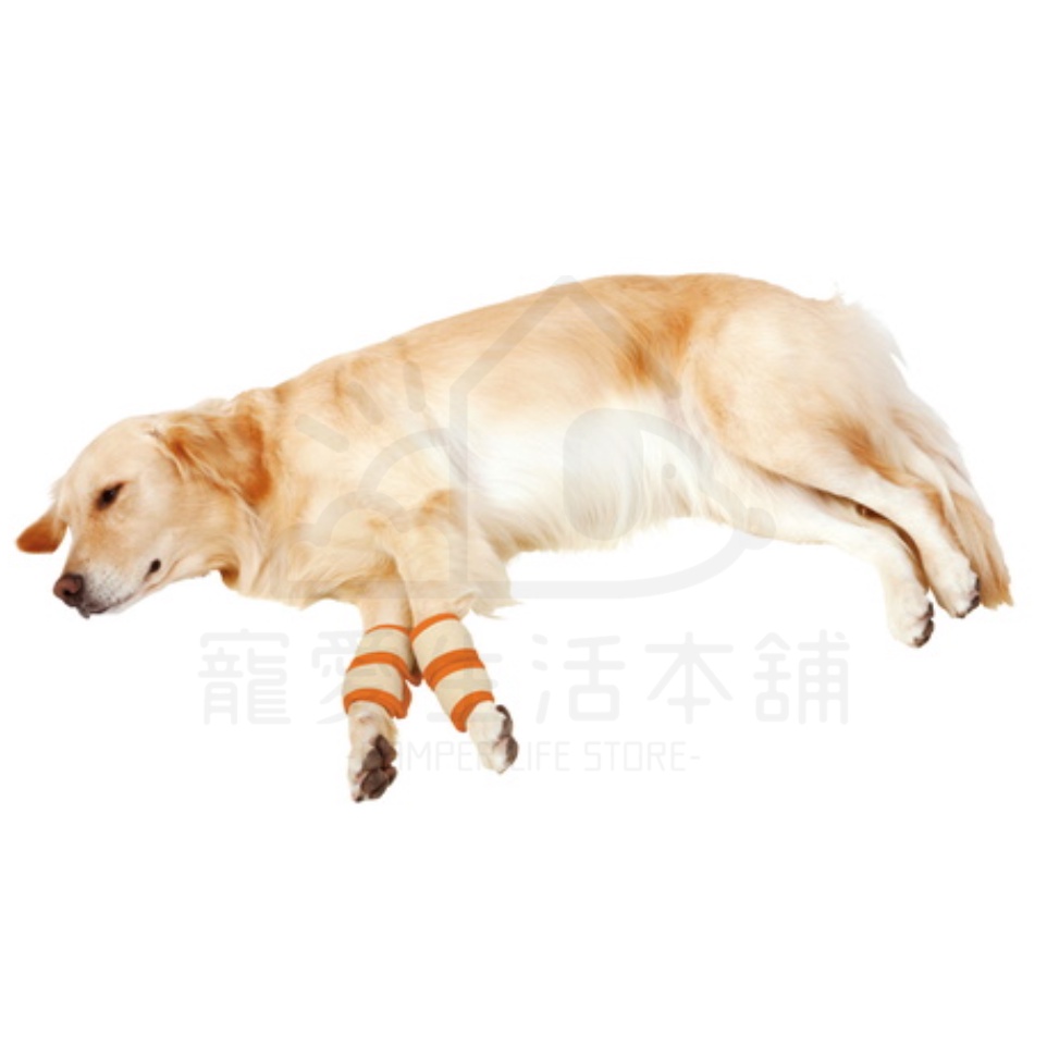 【寵愛生活本舖】PETIO寵物關節輔助支撐帶（大號）四入 派地奧, , large