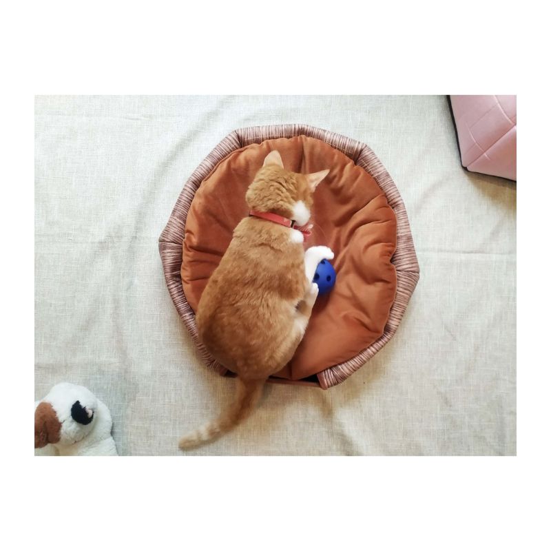 Igloo No.2 cat bed, , large