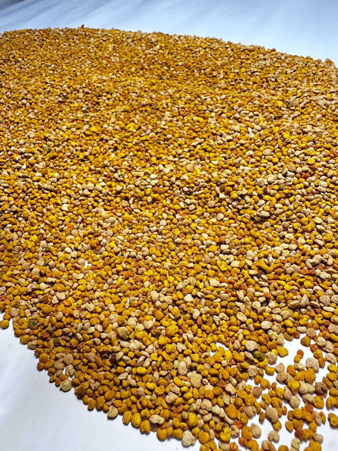 [皇廷] Zelkova serrata pollen 500g, , large