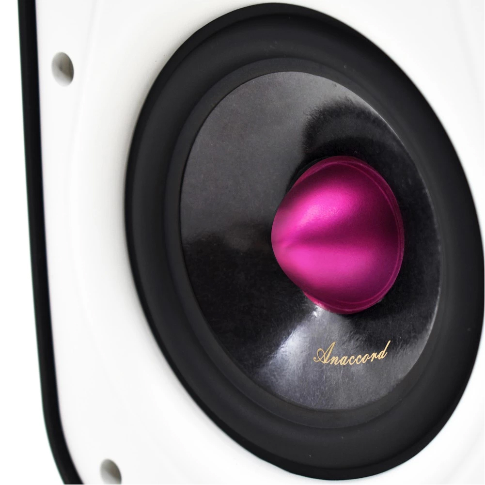 Anaccord雅那歌音響 DC-B5 5inch RUBY IPX66  waterproof desktop speakers 1pair, , large
