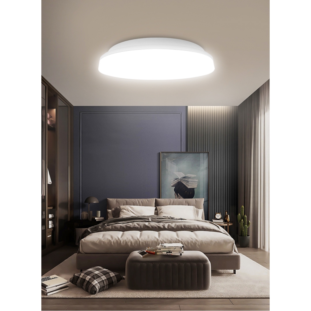 ceiling light, , large