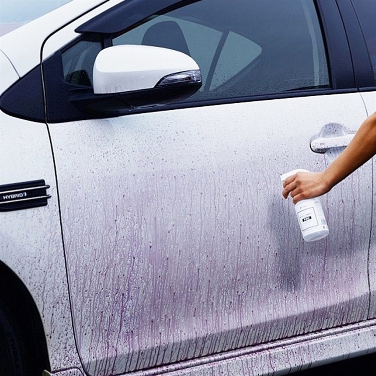 Automotive PRO Yellowing Remover/Iron Powder Remover, , large