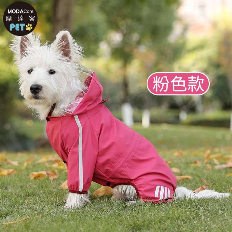 PET, , large