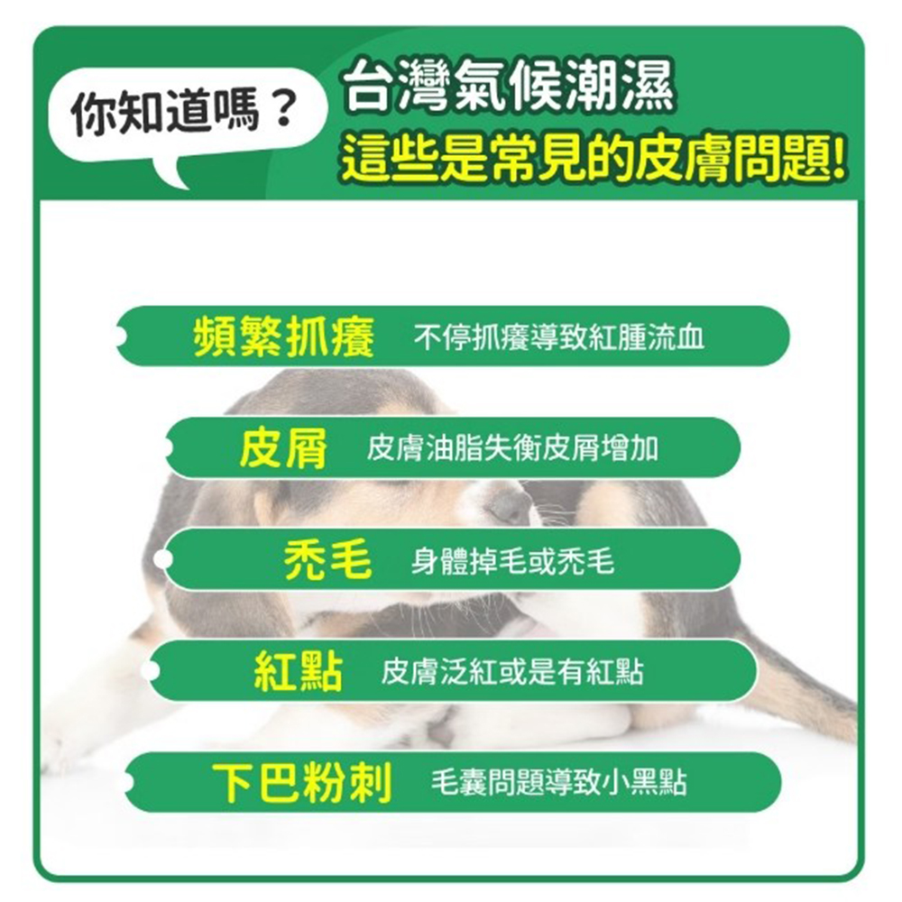 【毛孩時代】貓狗皮膚專科益生菌 /貓狗皮膚保健/寵物保健( 2盒/60入), , large