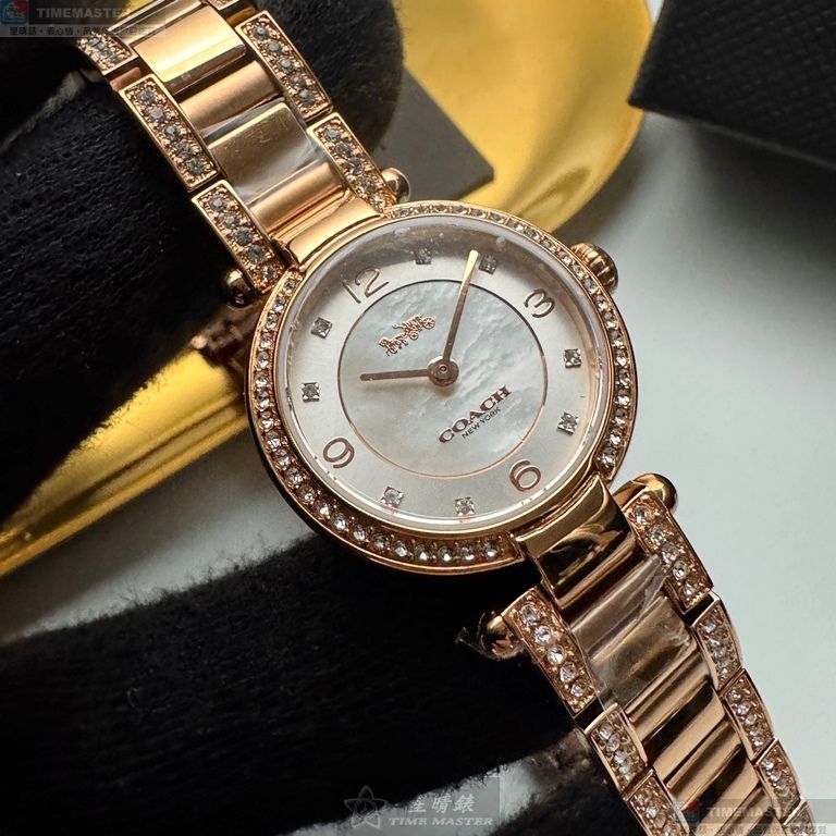 [TIMEMASTER] COACH watch, 26mm, CH00250, , large