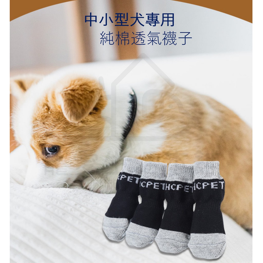 【寵愛生活本舖】中小型寵物專用純棉透氣襪子 狗狗襪子 小狗襪, , large