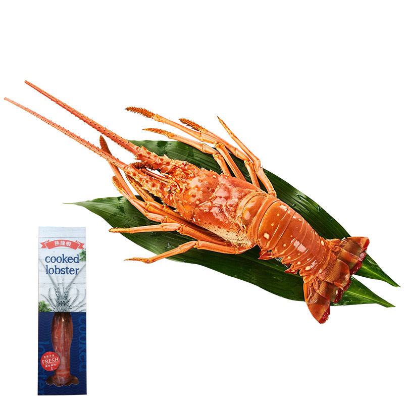 Cooked Lobster, , large